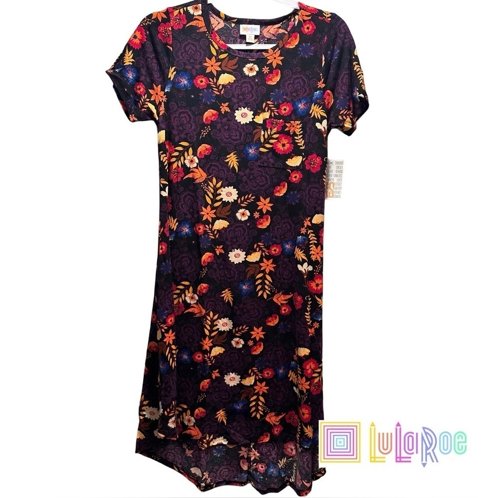 LulaRoe Carly Swing Dress with Front Pocket Loose & Relaxed Fit Stretchy XS 2-4 - Picture 10 of 13